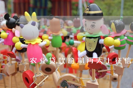 农业贷款逾期两天上征信吗 农业贷款逾期两天上征信吗