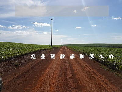 农业贷款逾期怎么办 农业贷款逾期怎么办