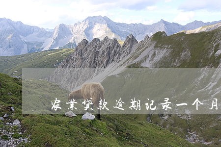 农业贷款逾期记录一个月