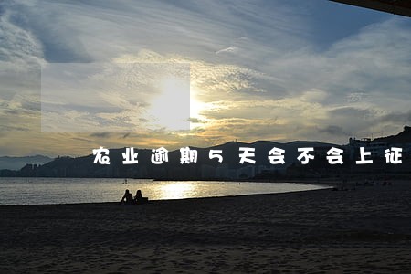 农业逾期5天会不会上征信 农业逾期5天会不会上征信