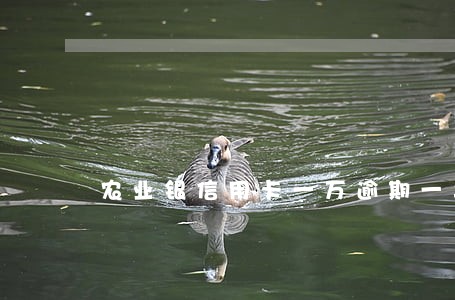 农业银信用卡一万逾期一年 农业银信用卡一万逾期一年