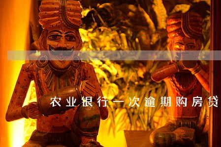 农业银行一次逾期购房贷款 农业银行一次逾期购房贷款