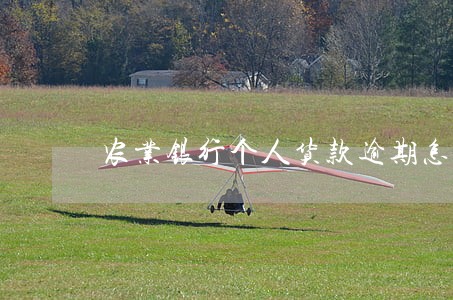 农业银行个人货款逾期怎么办 农业银行个人货款逾期怎么办