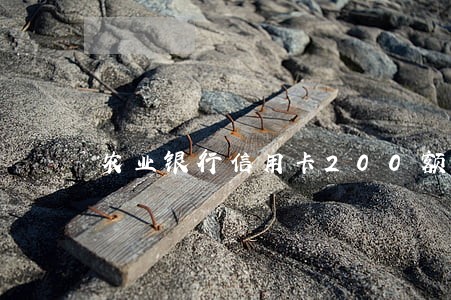 农业银行信用卡200额度逾期