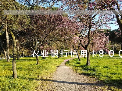 农业银行信用卡8000逾期 农业银行信用卡8000逾期
