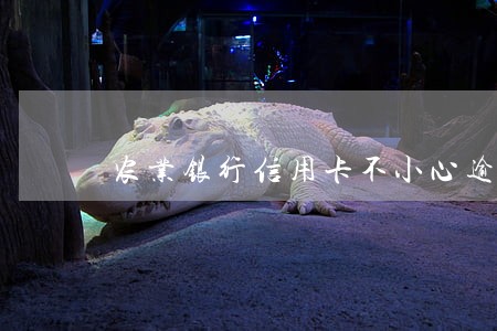农业银行信用卡不小心逾期2天