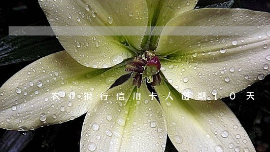 农业银行信用卡人逾期10天 农业银行信用卡人逾期10天