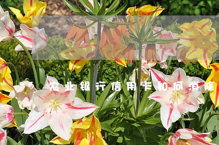 农业银行信用卡如何消除逾期 农业银行信用卡如何消除逾期