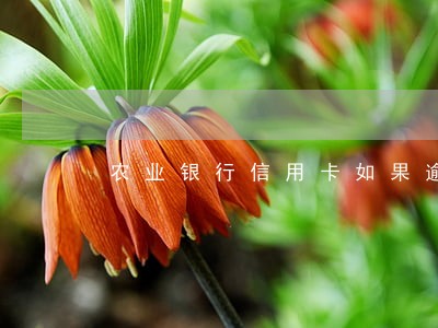农业银行信用卡如果逾期 农业银行信用卡如果逾期
