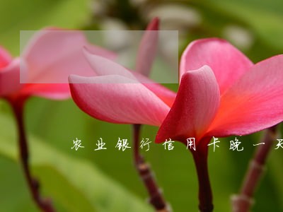农业银行信用卡晚一天算逾期吗 农业银行信用卡晚一天算逾期吗