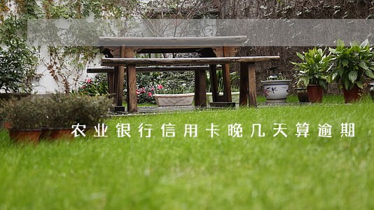 农业银行信用卡晚几天算逾期 农业银行信用卡晚几天算逾期