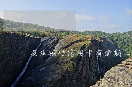 农业银行信用卡有逾期上征信吗