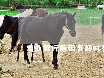 农业银行信用卡超时多久为逾期