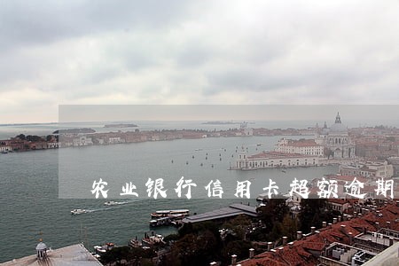 农业银行信用卡超额逾期 农业银行信用卡超额逾期