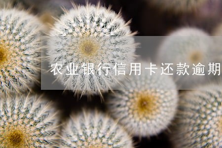 农业银行信用卡还款逾期五天 农业银行信用卡还款逾期五天