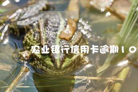 农业银行信用卡逾期10万 农业银行信用卡逾期10万