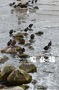 农业银行信用卡逾期19万
