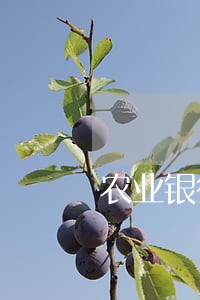 农业银行信用卡逾期1万会坐牢不 农业银行信用卡逾期1万会坐牢不