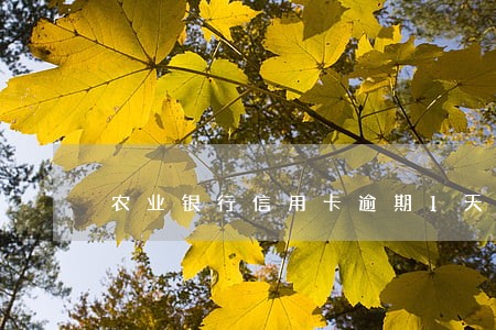 农业银行信用卡逾期1天有