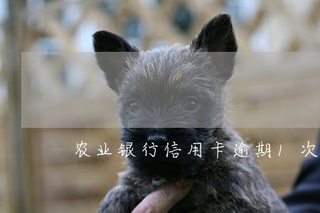农业银行信用卡逾期1次