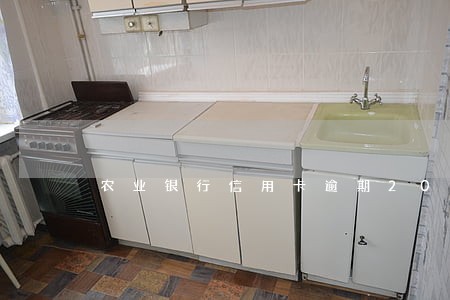农业银行信用卡逾期20天催收