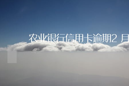 农业银行信用卡逾期2月