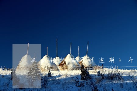 农业银行信用卡逾期3个月怎么办 农业银行信用卡逾期3个月怎么办