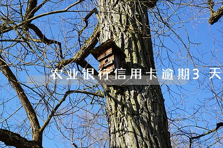 农业银行信用卡逾期3天补救 农业银行信用卡逾期3天补救