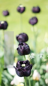 农业银行信用卡逾期5天 农业银行信用卡逾期5天