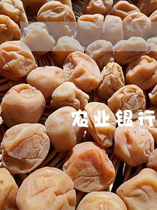 农业银行信用卡逾期6个月