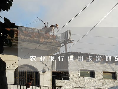 农业银行信用卡逾期6个月还款 农业银行信用卡逾期6个月还款