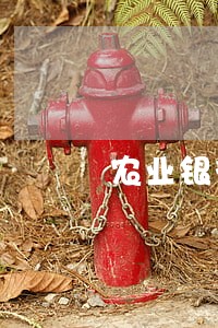 农业银行信用卡逾期8天还款 农业银行信用卡逾期8天还款