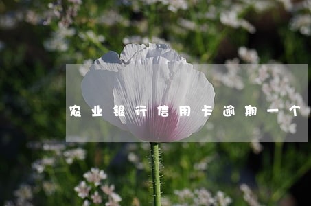 农业银行信用卡逾期一个礼拜