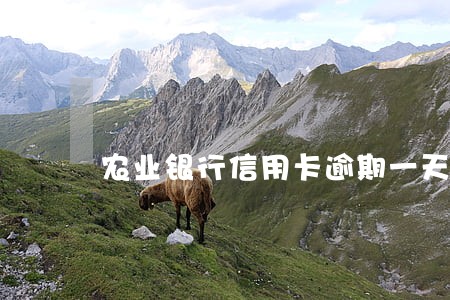农业银行信用卡逾期一天利息 农业银行信用卡逾期一天利息