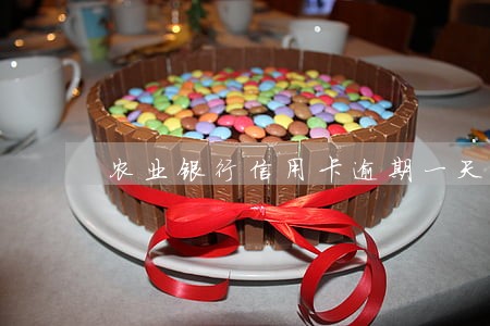 农业银行信用卡逾期一天可以吗 农业银行信用卡逾期一天可以吗