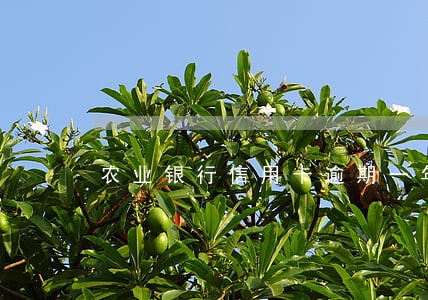 农业银行信用卡逾期一年 农业银行信用卡逾期一年