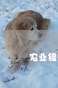 农业银行信用卡逾期一年还多少钱 农业银行信用卡逾期一年还多少钱