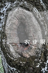 农业银行信用卡逾期七个月了 农业银行信用卡逾期七个月了