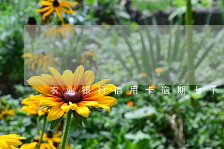 农业银行信用卡逾期七千起诉 农业银行信用卡逾期七千起诉