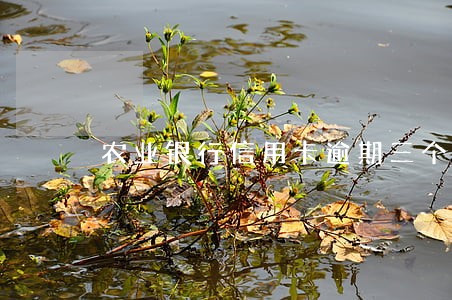 农业银行信用卡逾期三个月 农业银行信用卡逾期三个月
