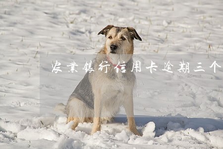 农业银行信用卡逾期三个月冻结了 农业银行信用卡逾期三个月冻结了
