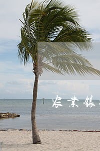 农业银行信用卡逾期三天 农业银行信用卡逾期三天