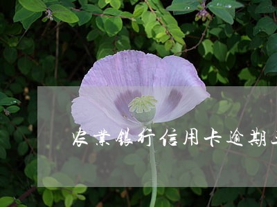 农业银行信用卡逾期三天没事吧 农业银行信用卡逾期三天没事吧