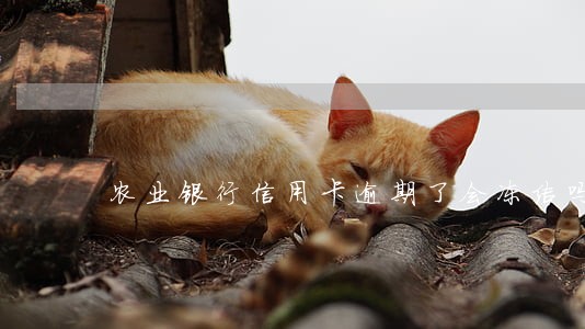 农业银行信用卡逾期了会冻结吗 农业银行信用卡逾期了会冻结吗