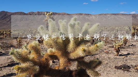 农业银行信用卡逾期了还能解封嘛 农业银行信用卡逾期了还能解封嘛