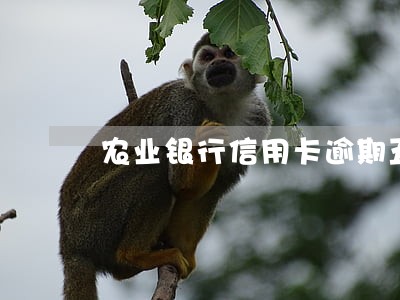 农业银行信用卡逾期五千 农业银行信用卡逾期五千