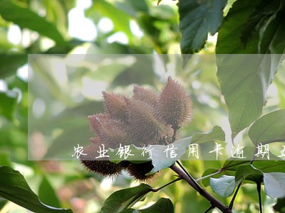 农业银行信用卡逾期五天 农业银行信用卡逾期五天