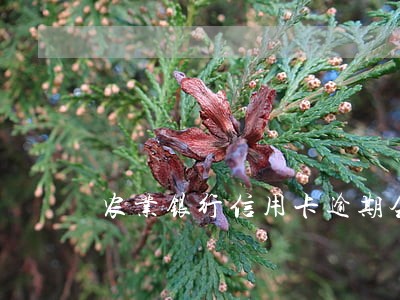 农业银行信用卡逾期会不会判刑 农业银行信用卡逾期会不会判刑