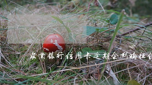 农业银行信用卡逾期会影响征信 农业银行信用卡逾期会影响征信