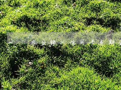 农业银行信用卡逾期会被传票吗 农业银行信用卡逾期会被传票吗